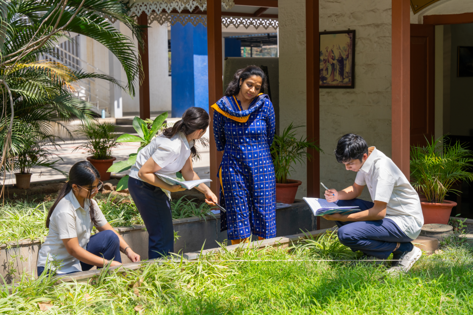 IB World School